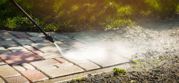 Best Sidewalk and Walkway Cleaning  in Dorothy, NJ